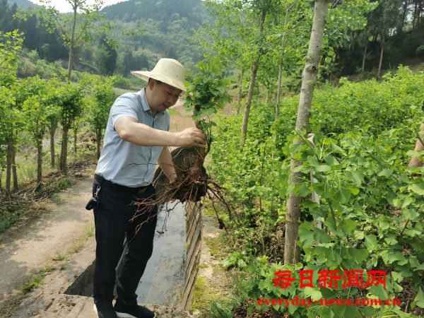 微信图片_2025-06-09_111502_289(1).jpg
