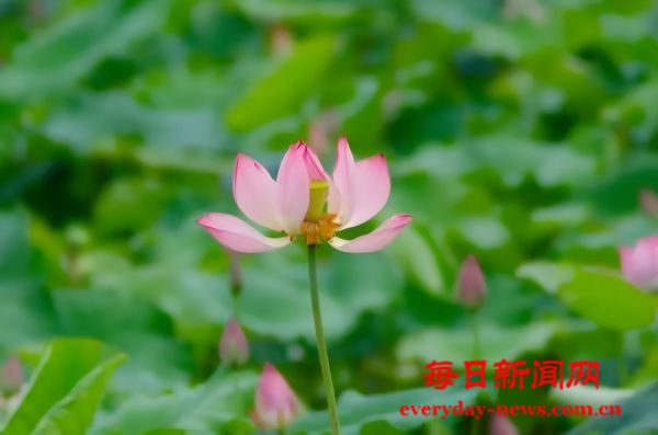 微信图片_2025-06-21_190526_349(1).jpg