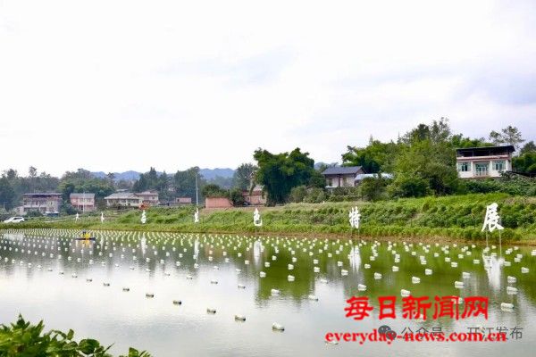 微信图片_20250924115751_247_18.jpg 微信图片_20250924115751_247_18.jpg