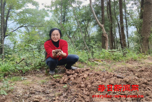 图片2.png 图片2.png