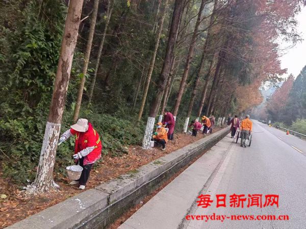 恩阳区交通运输局：开展行道树刷白养护，筑